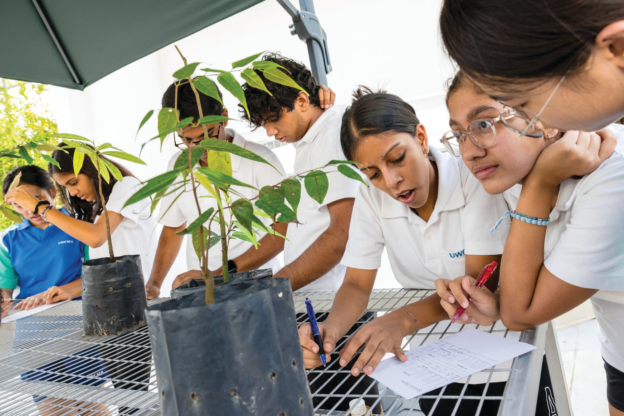 2023_10_East_Rainforest_Sustainability_5601